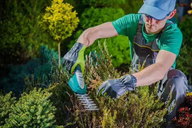 landscaping services Wallins Creek